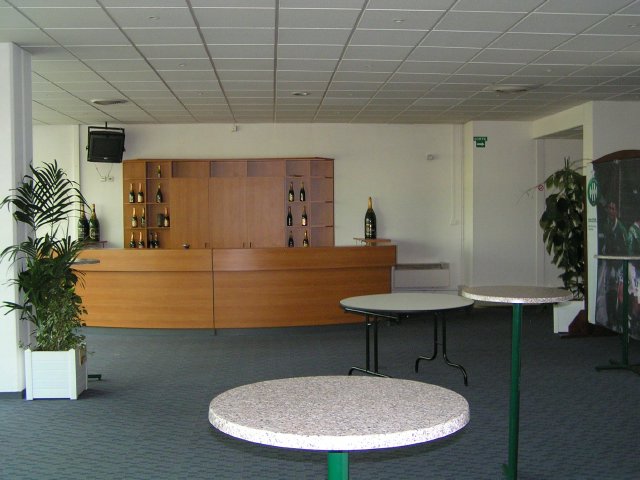 Les salons